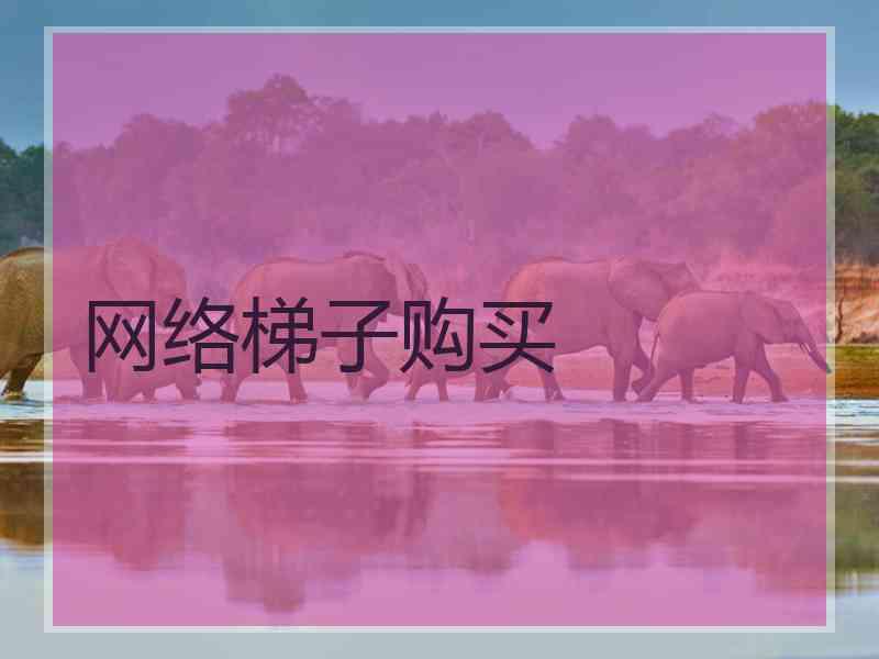 网络梯子购买