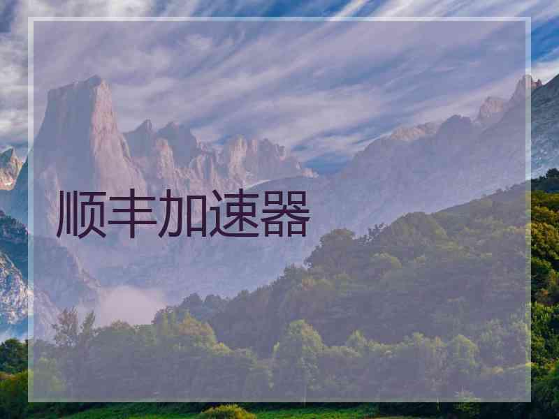 顺丰加速器