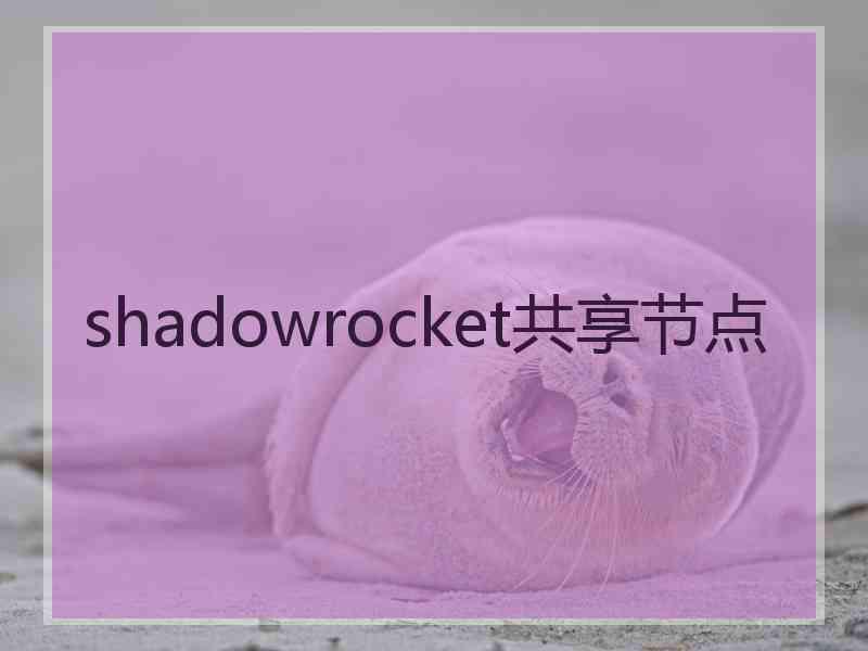 shadowrocket共享节点