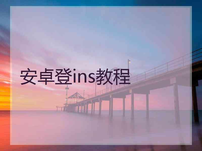 安卓登ins教程