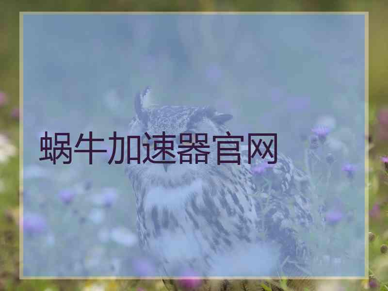 蜗牛加速器官网