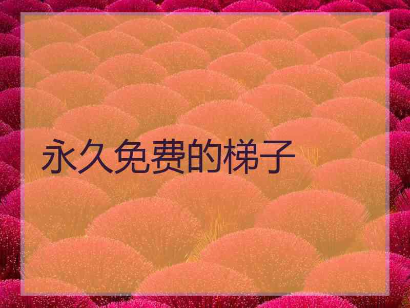 永久免费的梯子