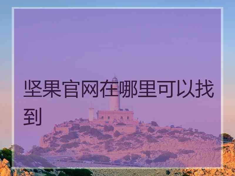 坚果官网在哪里可以找到