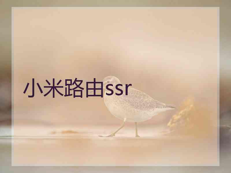小米路由ssr