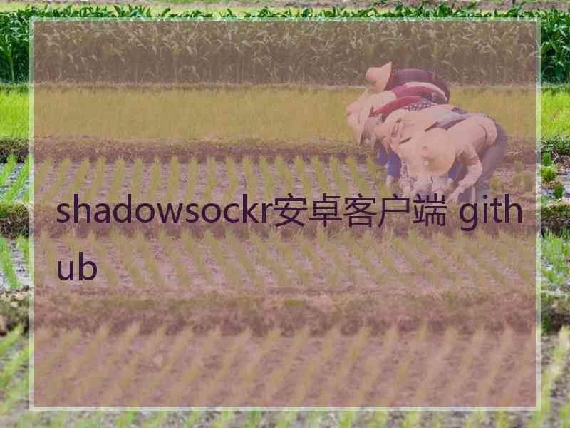 shadowsockr安卓客户端 github