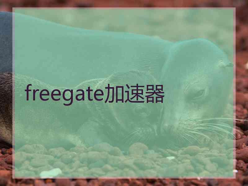 freegate加速器