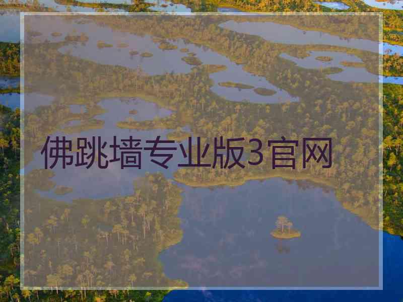 佛跳墙专业版3官网