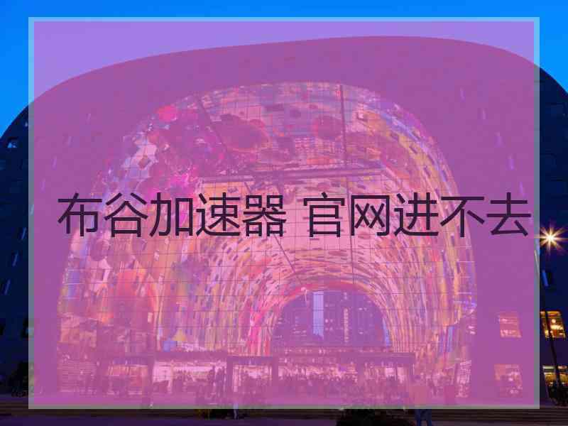 布谷加速器 官网进不去