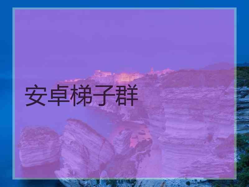 安卓梯子群