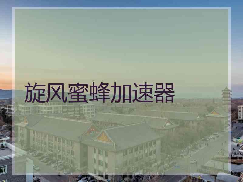 旋风蜜蜂加速器