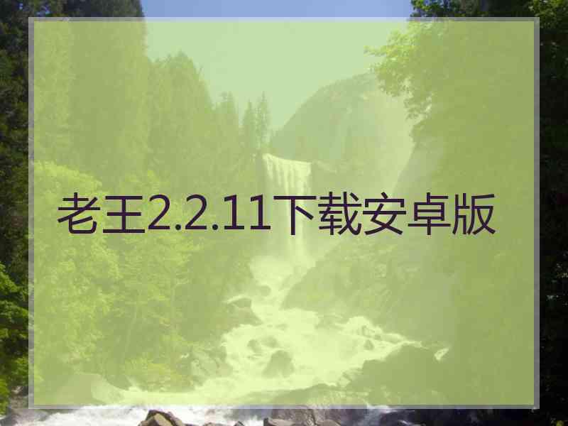 老王2.2.11下载安卓版