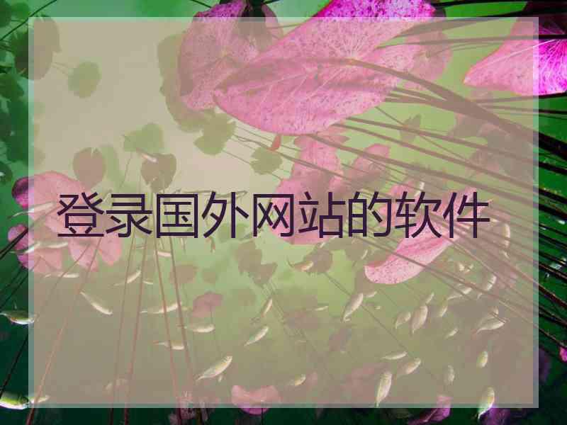登录国外网站的软件