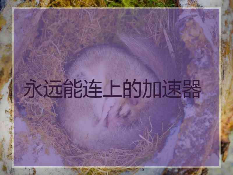永远能连上的加速器