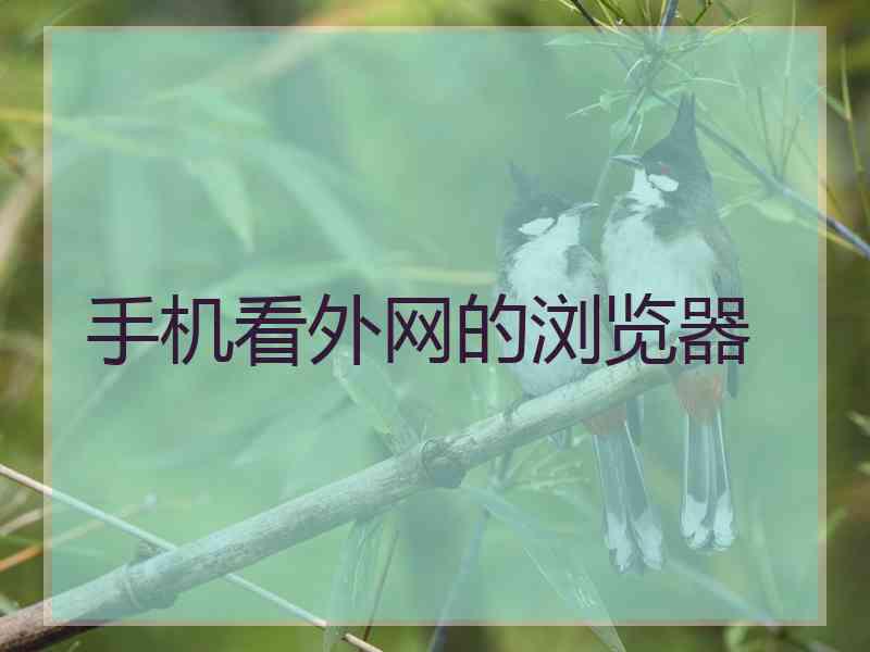 手机看外网的浏览器