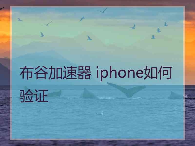 布谷加速器 iphone如何验证