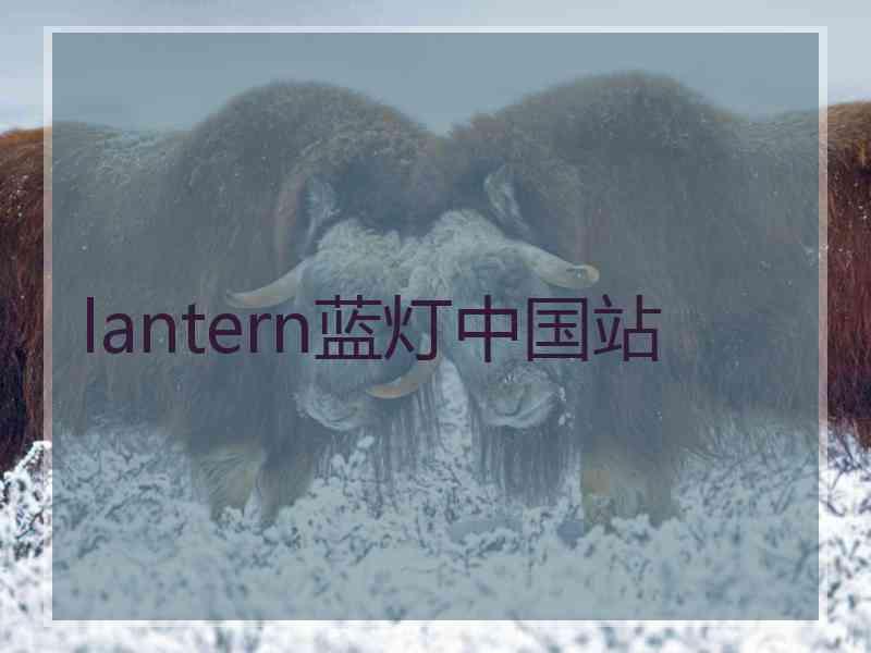 lantern蓝灯中国站