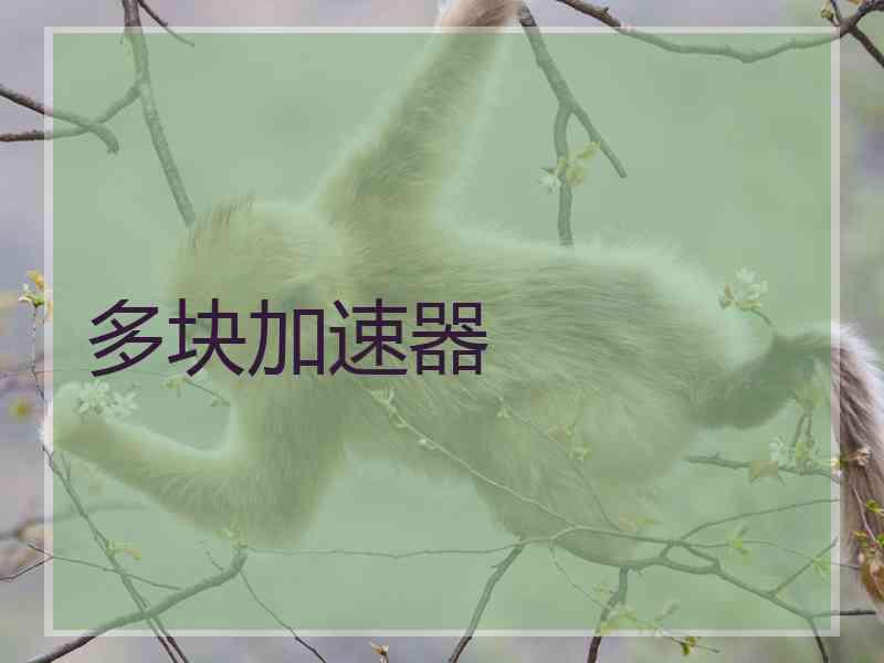 多块加速器