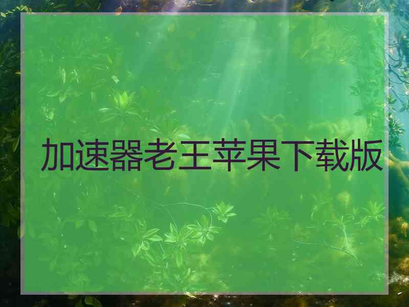 加速器老王苹果下载版
