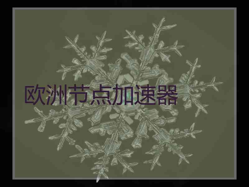 欧洲节点加速器