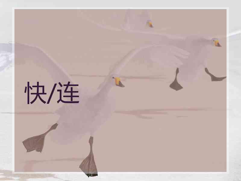 快/连