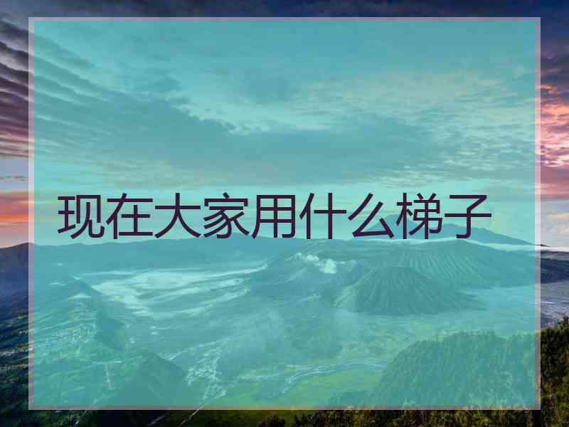 现在大家用什么梯子