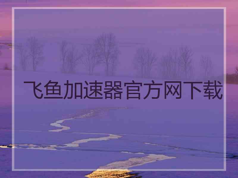 飞鱼加速器官方网下载
