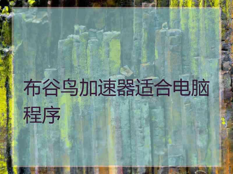 布谷鸟加速器适合电脑程序