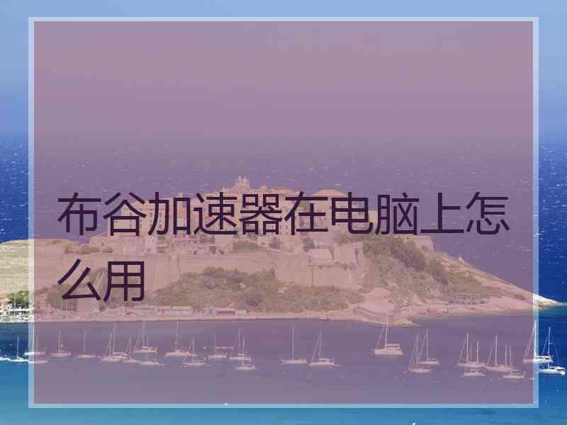 布谷加速器在电脑上怎么用