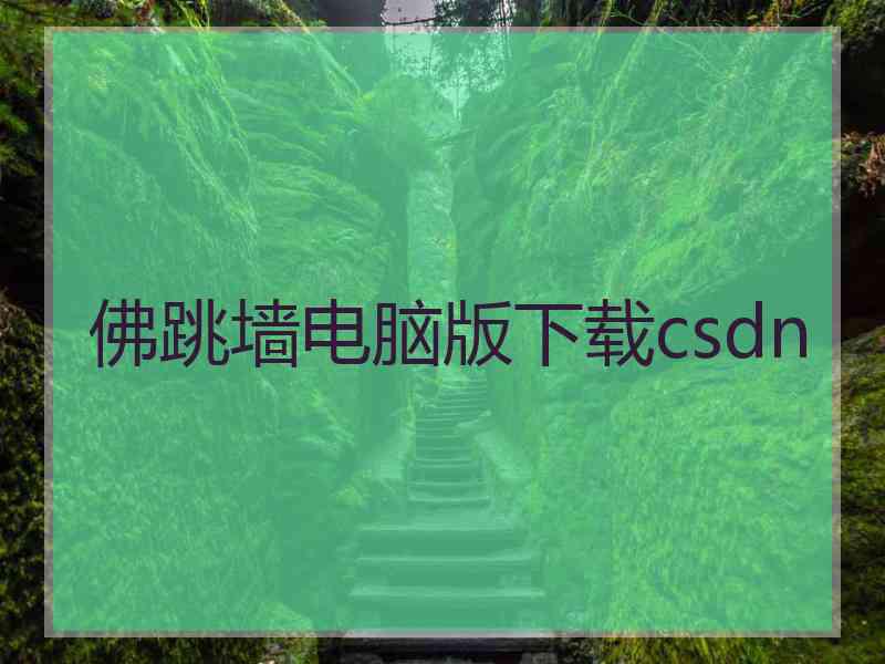佛跳墙电脑版下载csdn