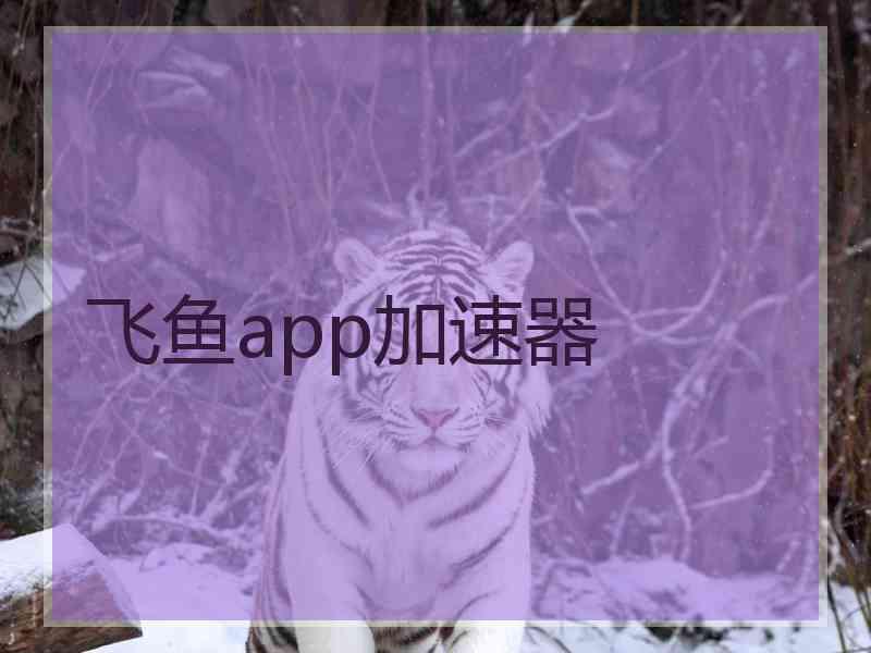 飞鱼app加速器