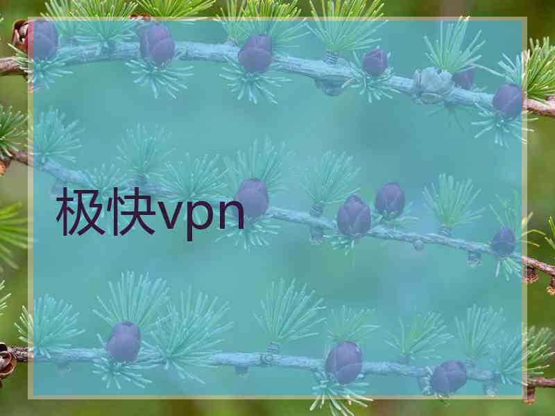 极快vpn