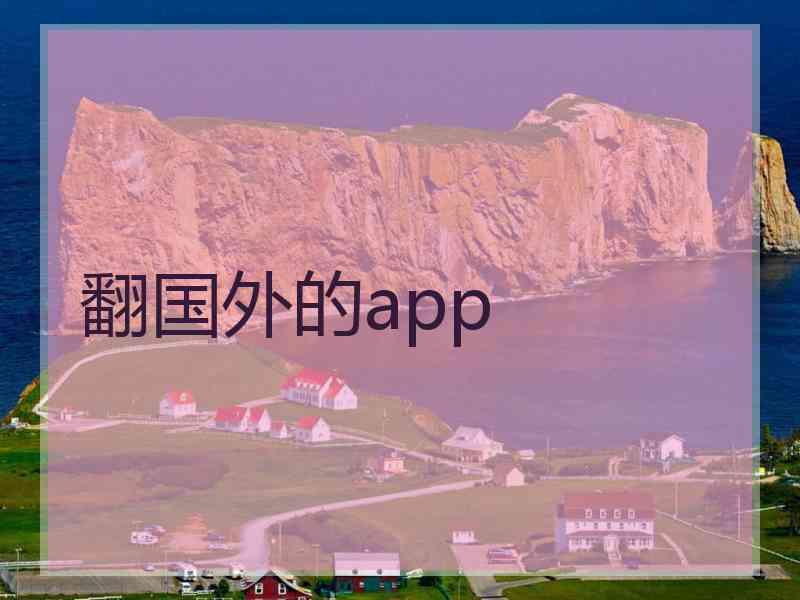 翻国外的app