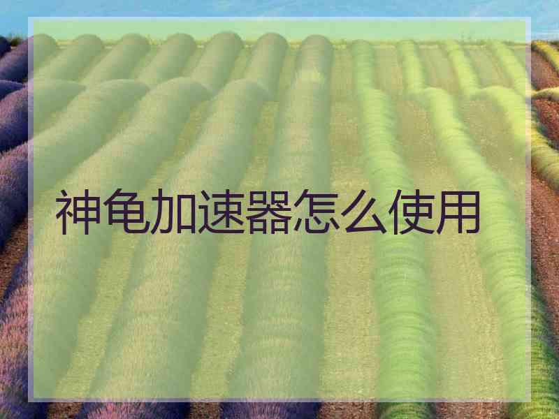 神龟加速器怎么使用