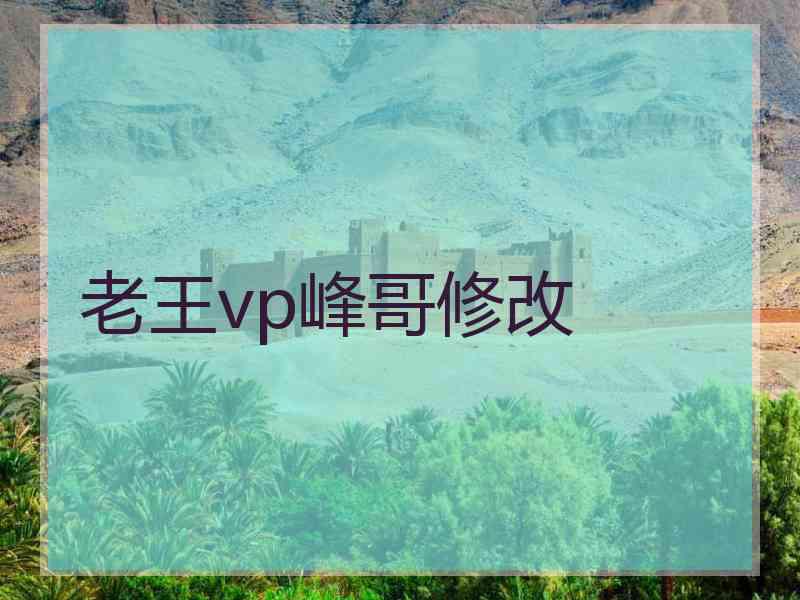 老王vp峰哥修改