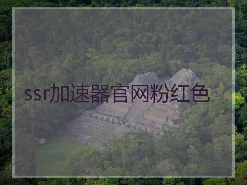 ssr加速器官网粉红色