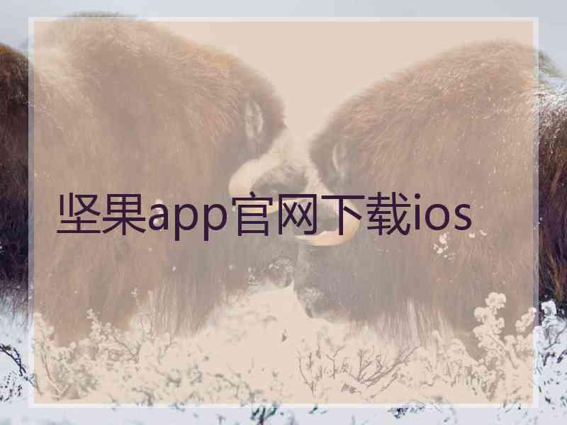 坚果app官网下载ios