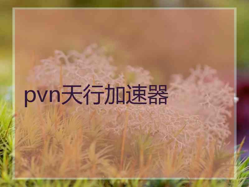 pvn天行加速器