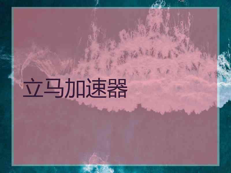 立马加速器
