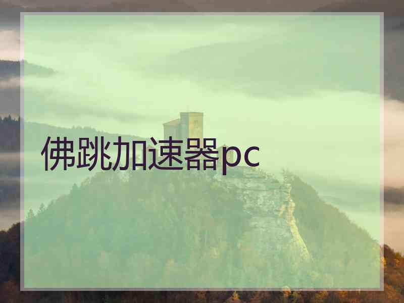 佛跳加速器pc