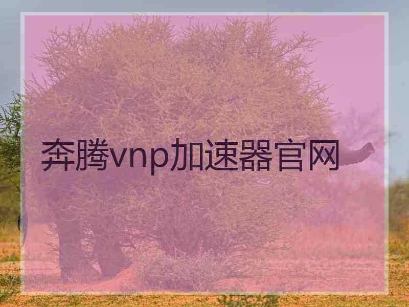 奔腾vnp加速器官网