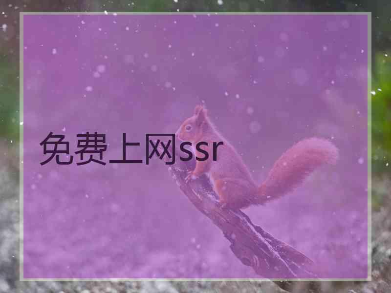 免费上网ssr