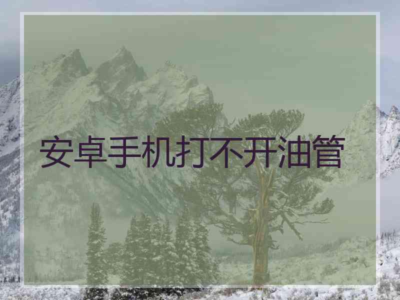 安卓手机打不开油管