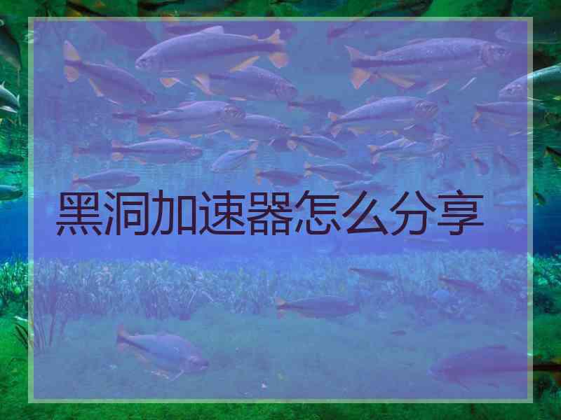 黑洞加速器怎么分享