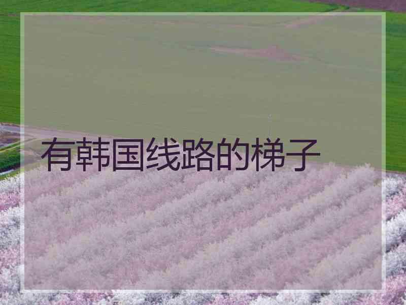 有韩国线路的梯子