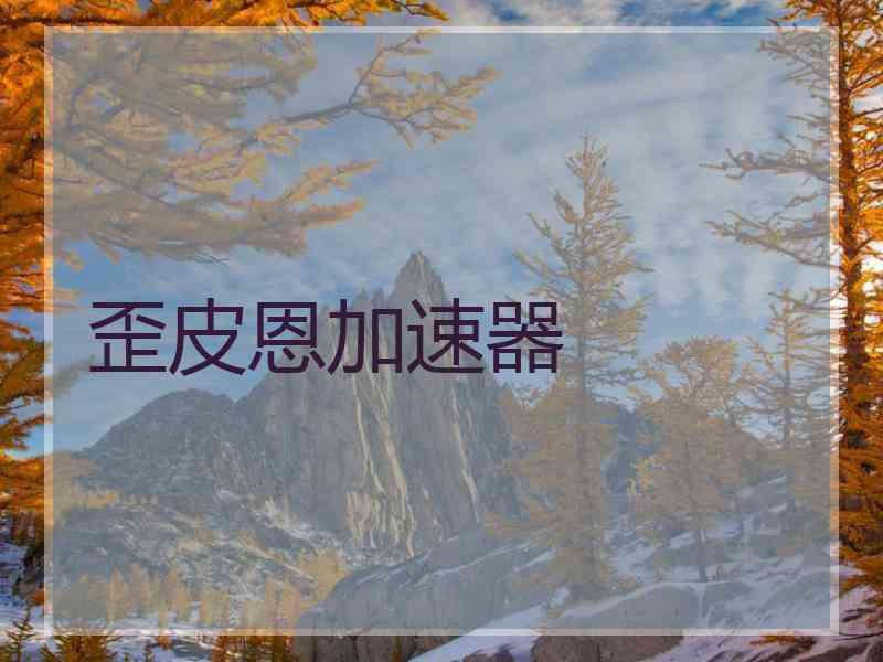 歪皮恩加速器