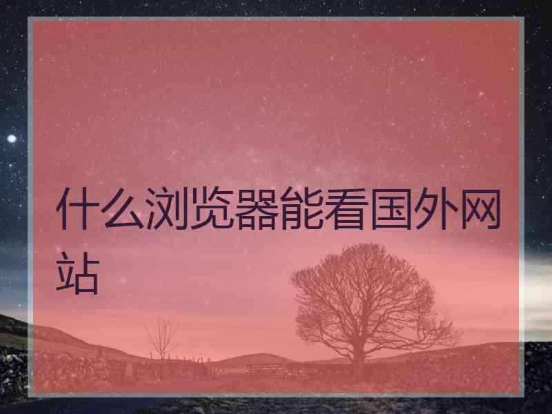 什么浏览器能看国外网站