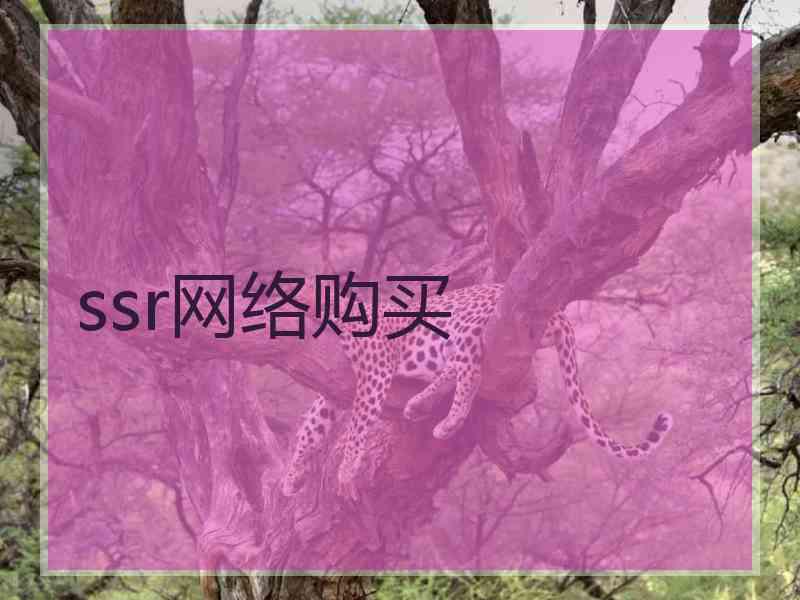 ssr网络购买