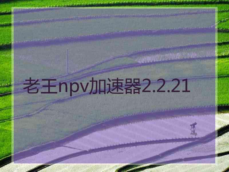 老王npv加速器2.2.21