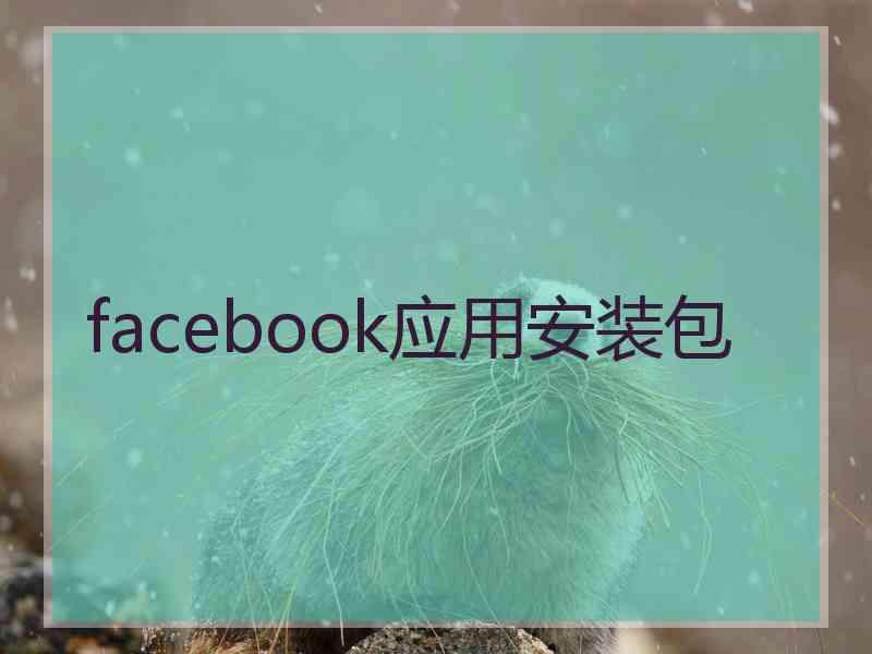 facebook应用安装包