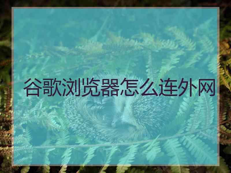 谷歌浏览器怎么连外网